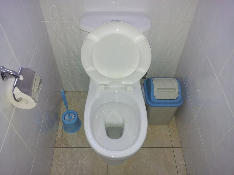 Toilet Seat Installation
