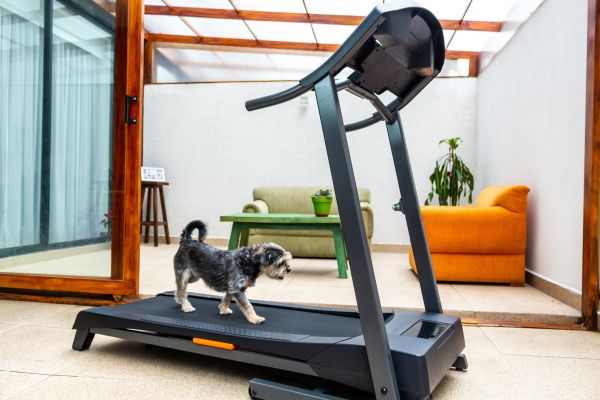 Treadmill Installation in Goshen