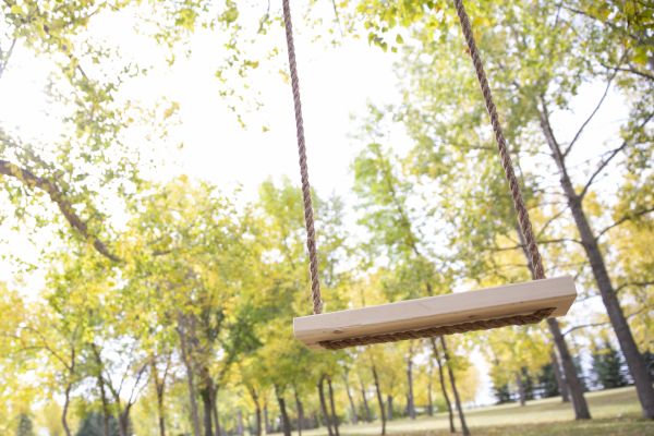Tree Swing Installation in Goshen