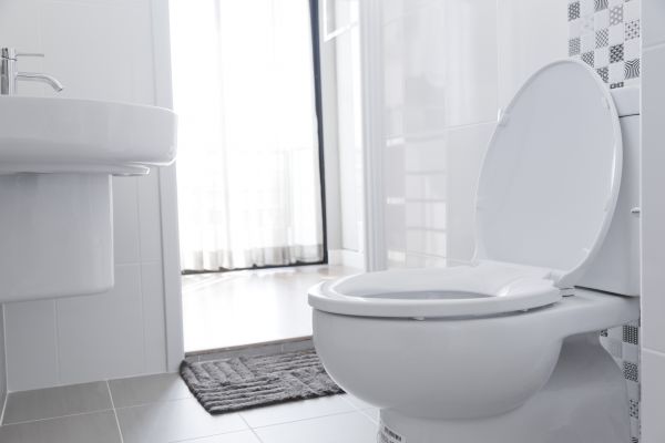 Toilet Seat Installation in Goshen