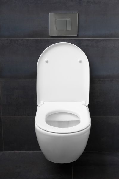 Toilet Lid Installation in Goshen