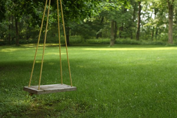 Rope Swing Installation in Goshen