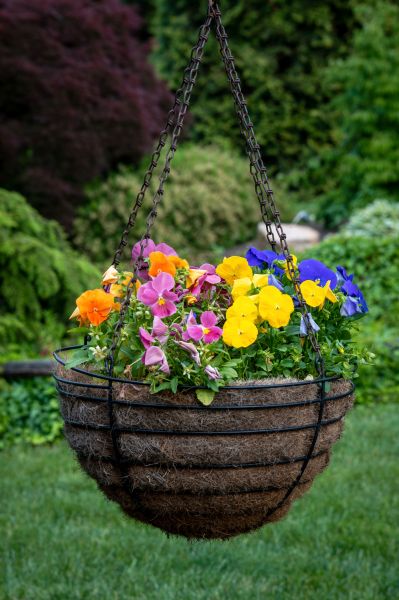 Hanging Basket Installation in Goshen