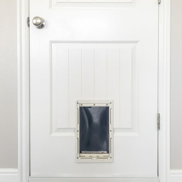 Pet Door Repair in Goshen