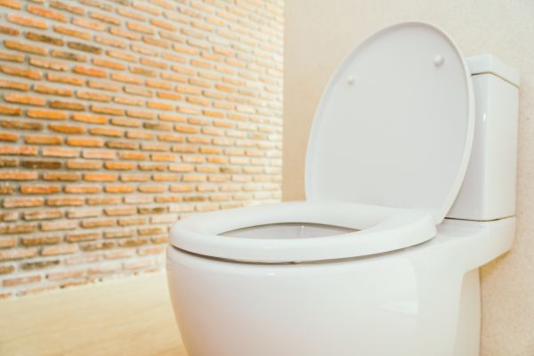 Toilet Seat Repair in Goshen