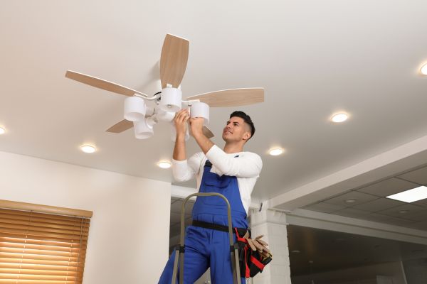 Ceiling Fan Bulb Replacement in Goshen
